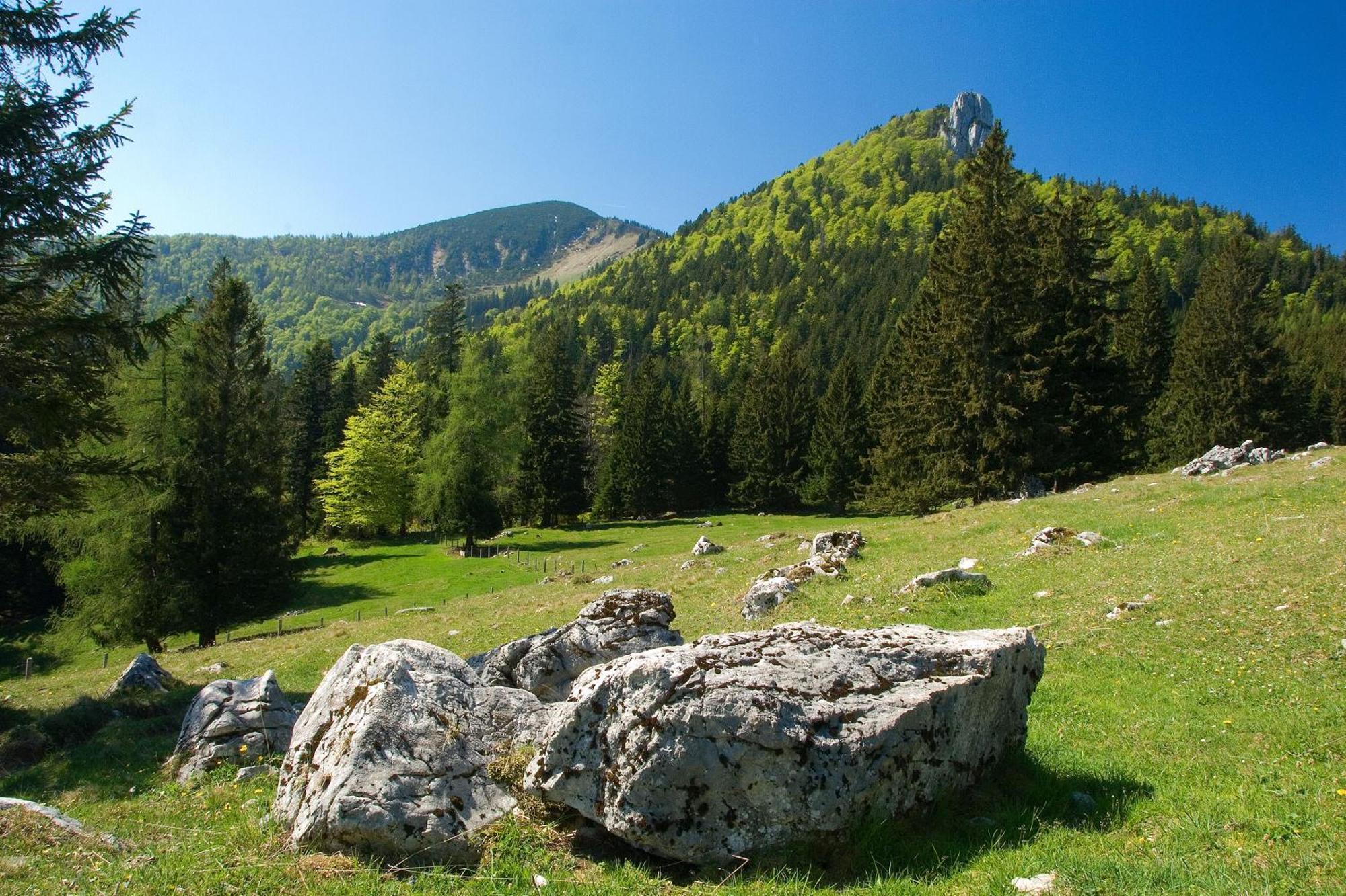 Gaestehaus Weissenbacher-Ferienwohnungen Marquartstein Exteriér fotografie